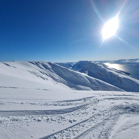 Villa Lyngenfjord Olderdalen Buitenkant foto