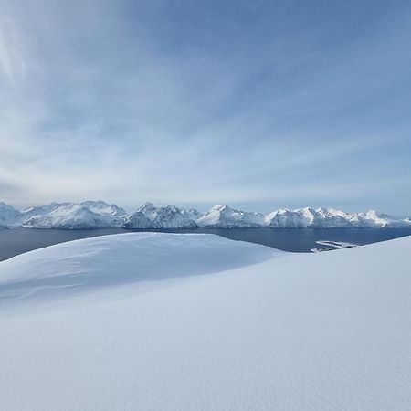 Villa Lyngenfjord Olderdalen Buitenkant foto