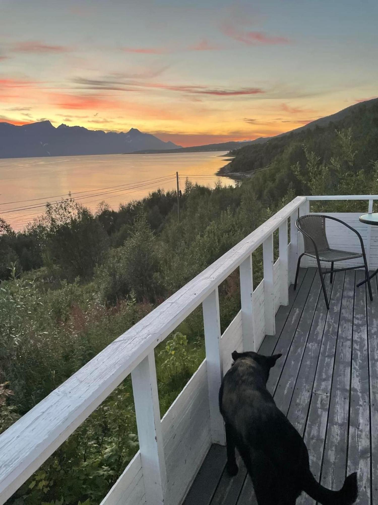 Villa Lyngenfjord Olderdalen Buitenkant foto